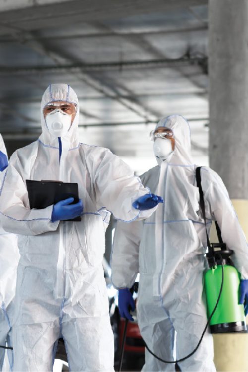 VilPest Oy - Tuholaistorjunta yrityksille