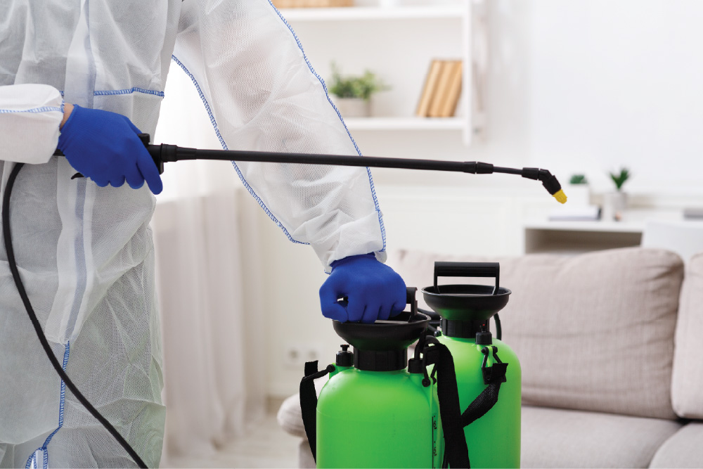 Tuholaistorjunta Jokioinen - Tuholaistorjuntapalvelut Jokioisilla