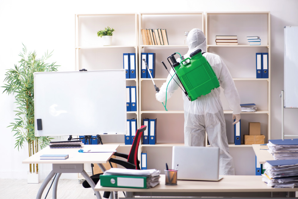 VilPest Oy - Tuholaistorjunta yrityksille ja yksityisille